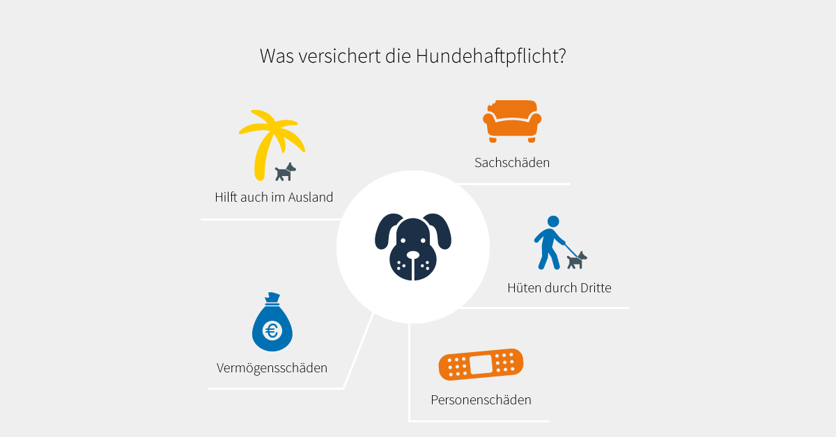 Hundehaftpflicht