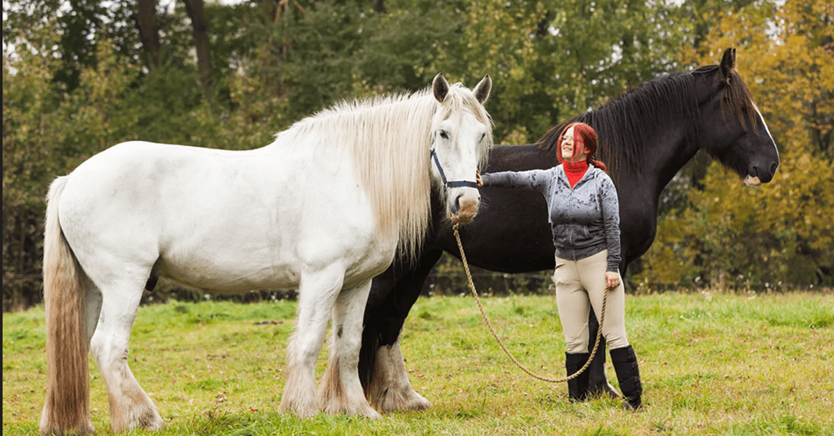Tierkrankenversicherung