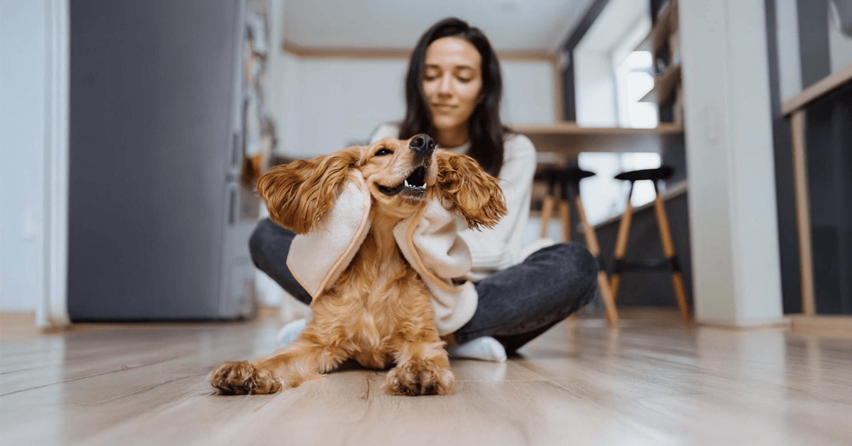 Hundekrankenversicherung