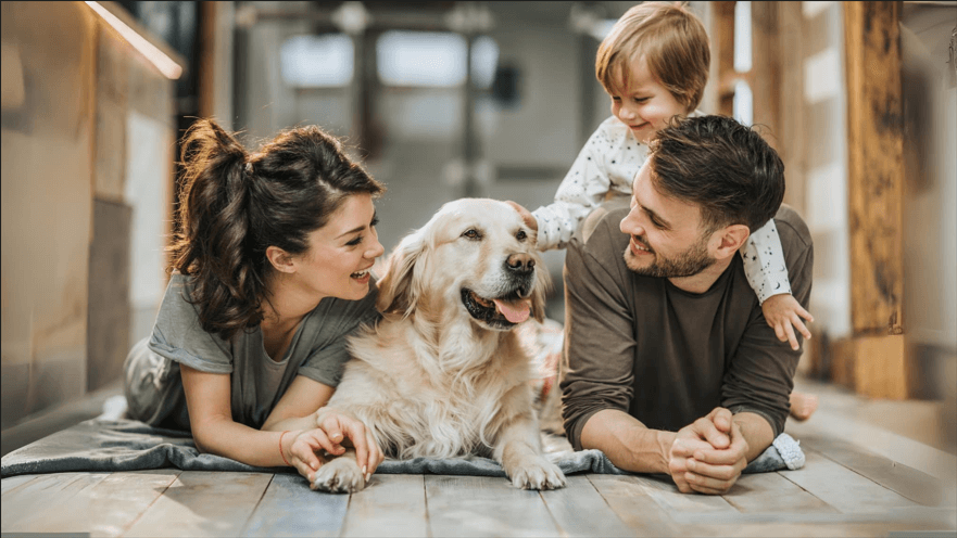 Hundekrankenversicherung im Vergleich 01/2026