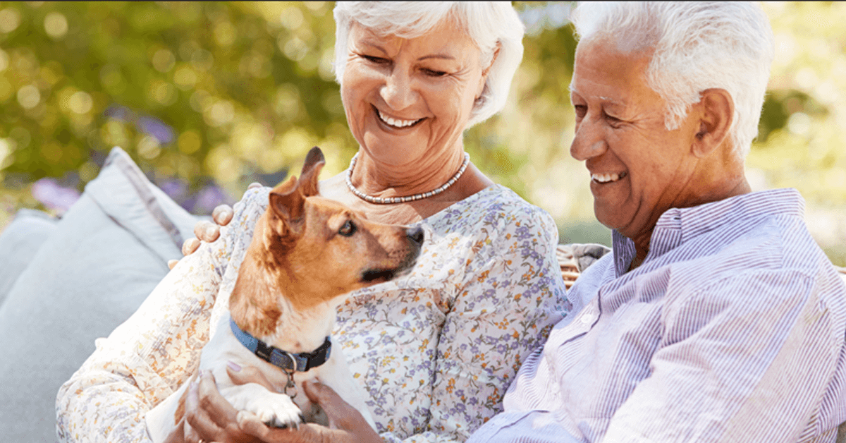 Gesetzliche Rentenversicherung