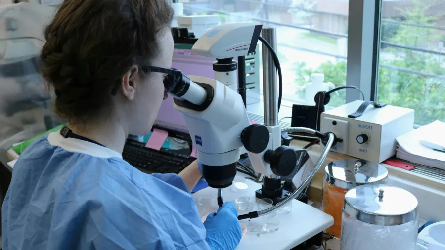 Manulife Singapore to offer multi-cancer blood test starting May