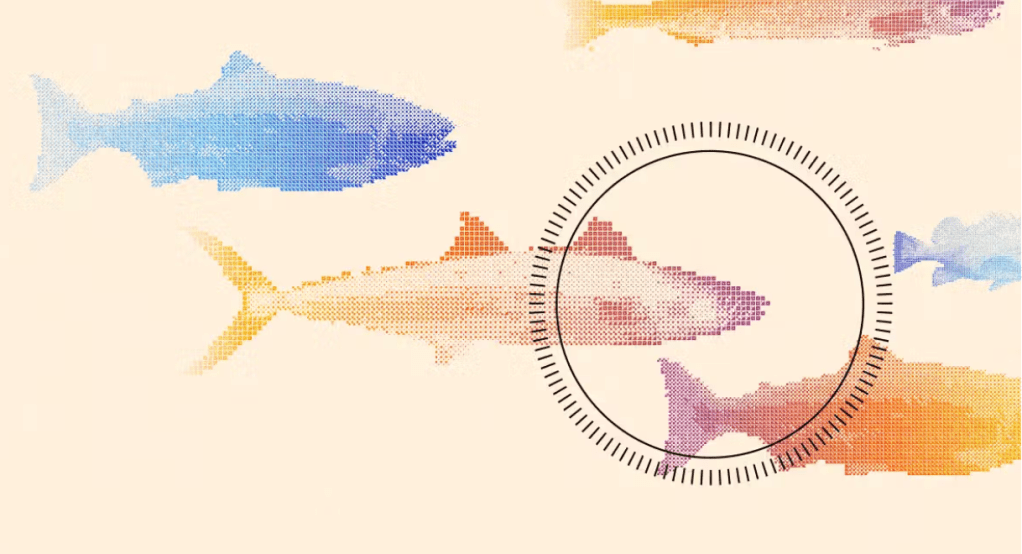 Founders Fund’s outlier bet on humanely killed fish