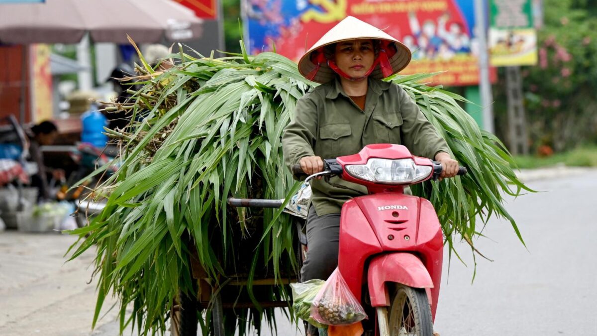 Vietnam is finally a FTSE emerging market—yet it’s the country’s banks, not its exporters, that’ll benefit most
